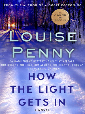 cover image of How the Light Gets In